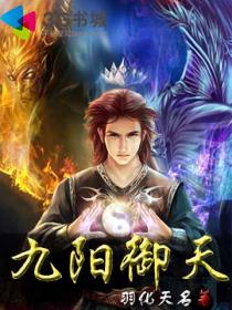 九阳御天封面