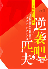 逆袭吧，匹夫封面