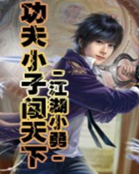 功夫小子闯天下封面