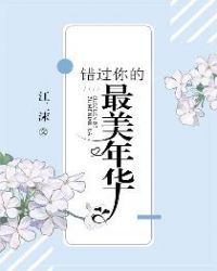 错过你的最美年华封面