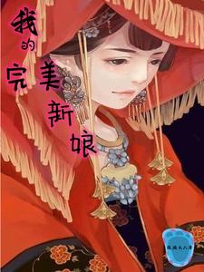 我的完美新娘封面