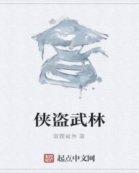 侠盗武林封面