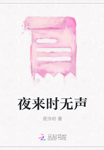 夜来时无声封面
