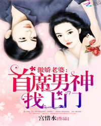 傲娇老婆：首席男神找上门封面