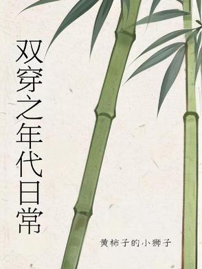 双穿之年代日常封面