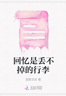 回忆是丢不掉的行李封面