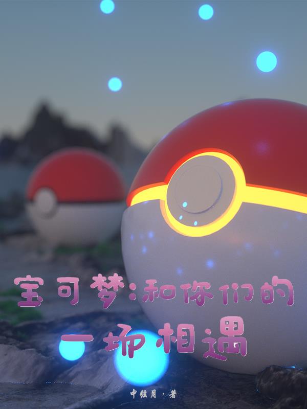 宝可梦：和你们的一场相遇封面