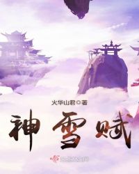 神雪赋封面