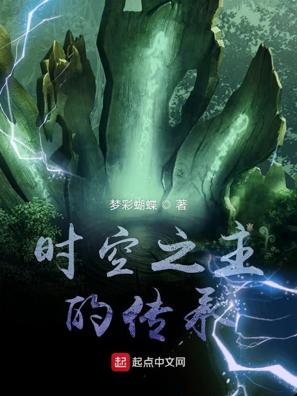 时空之主的传承封面