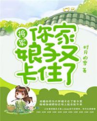 将军，你家娘子又卡住了封面