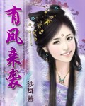 有凤来袭封面