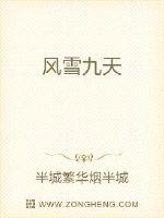 风雪九天封面