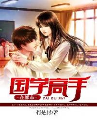 国学高手在都市封面