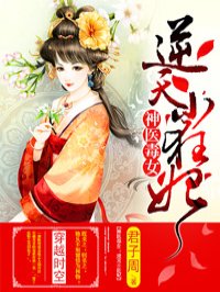 逆天小狂妃封面