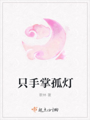 只手掌孤灯封面