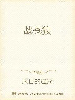 战苍狼封面