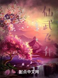 仙武飞升封面