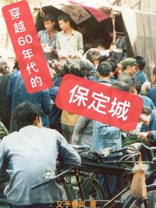 穿越60年代的保定城封面