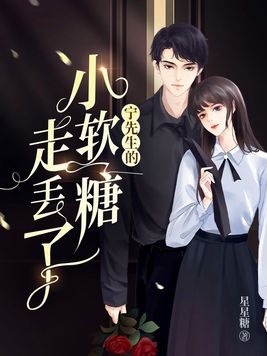 宁先生的小软糖走丢了封面