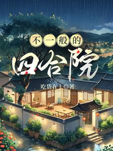不一般的四合院封面