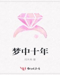 梦中十年封面