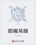 猎魔英雄封面
