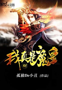 我真是魔皇啊封面