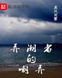 弄潮者的嘲弄封面