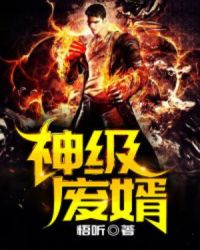 神级废婿封面
