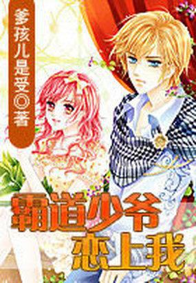 霸道少爷恋上我封面