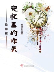 模糊在记忆里的昨天封面