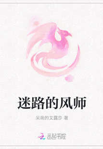 迷路的风师封面