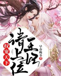 权宠天下,王妃请上位封面