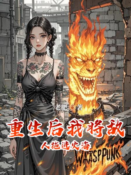 重生后我将敌人拖进火海封面