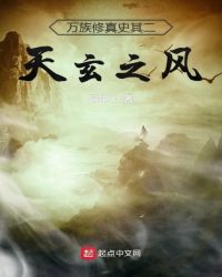 万族修真史其二天玄之风封面