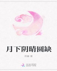 月下阴晴圆缺封面
