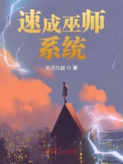 速成巫师系统封面