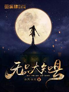 无品大知县封面