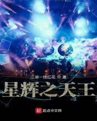 星辉之天王封面
