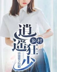 乡村逍遥狂少封面