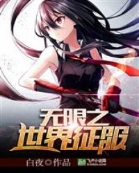 无限之世界征服封面