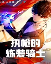 执枪的炼装骑士封面