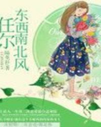 任尔东西南北风封面