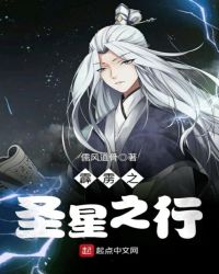 霹雳之圣星之行封面