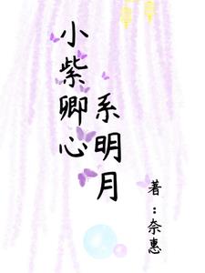 小紫卿心系明月封面