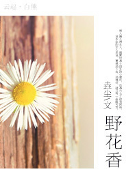 野花香封面