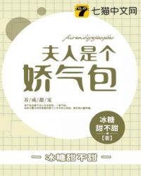 夫人是个娇气包封面