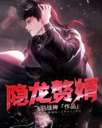 隐龙赘婿封面