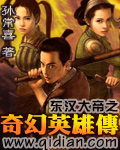 东汉大帝之奇幻英雄传封面