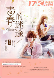 青春的迷途封面
